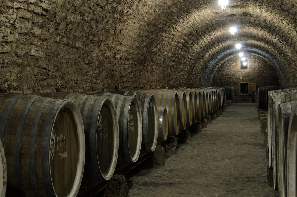 Prince Trubetskoi Winery Hotel Nova Kakhovka Ngoại thất bức ảnh